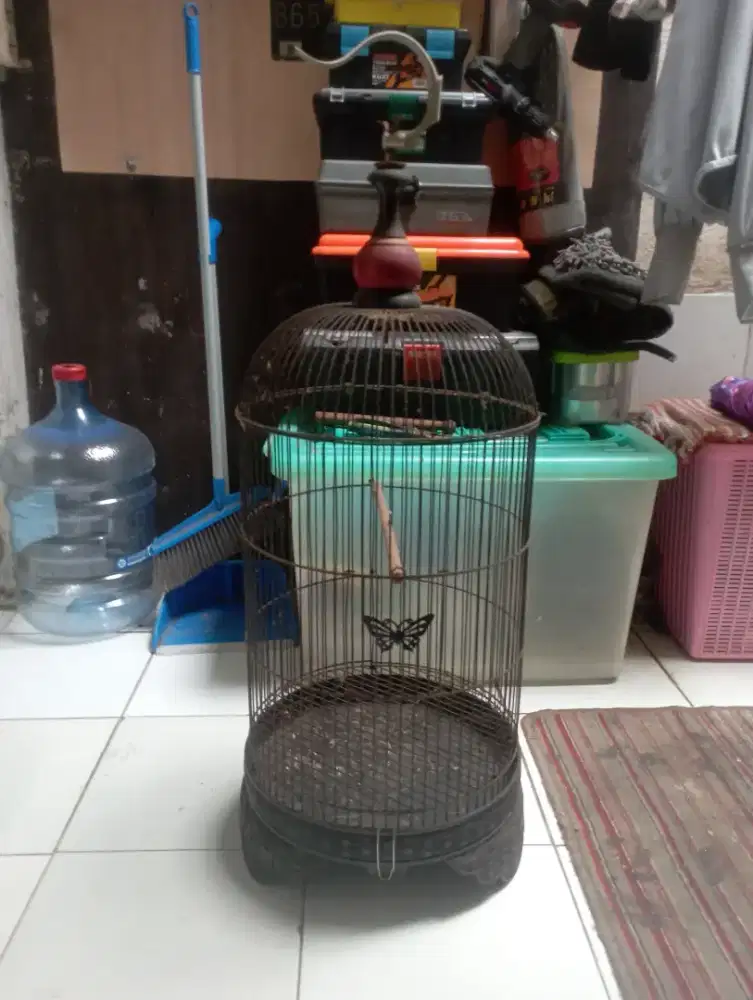 Kandang burung.