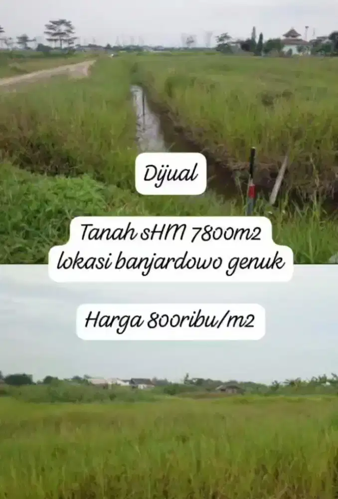 Jual tanah murah