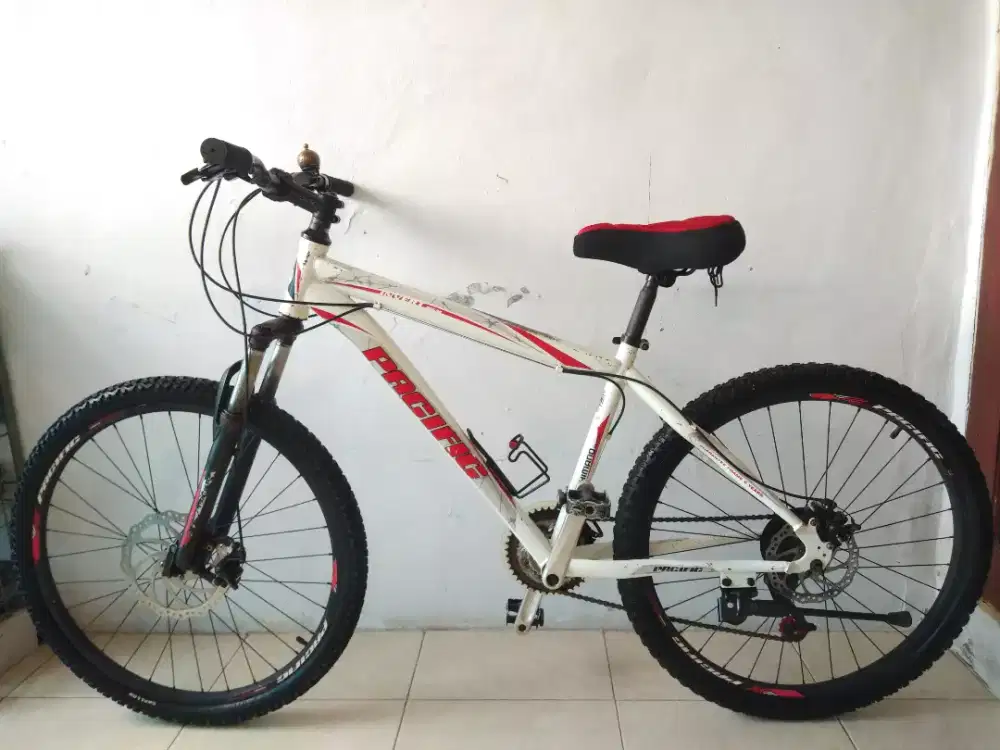 Sepeda mtb pasific jadul