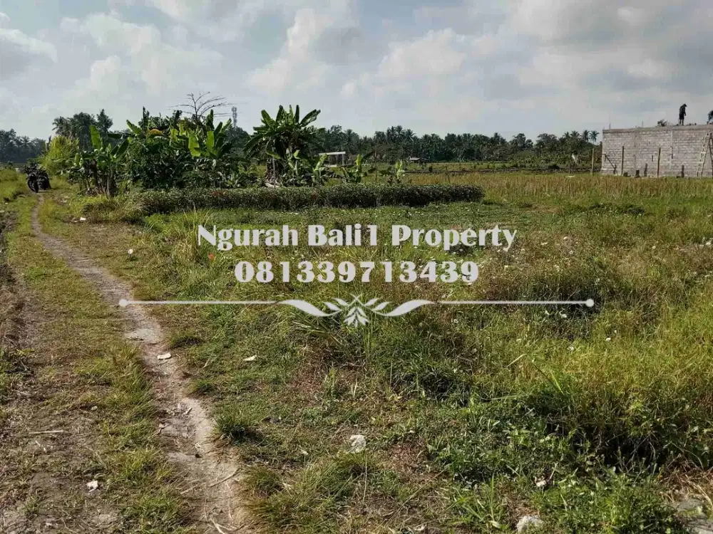 Dijual Tanah Murah Luas 107 m2 View Sawah Kawasan Villa di Ubud