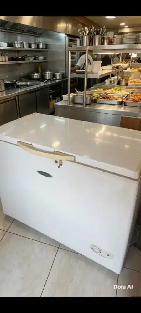 Freezer  box 200L GEA