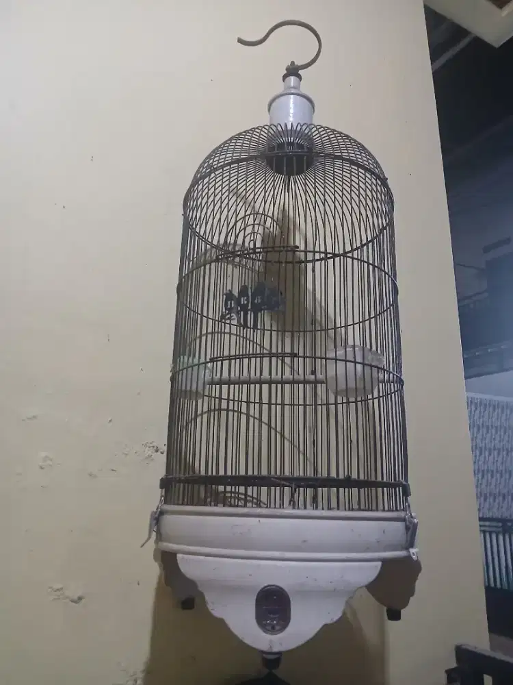 Di jual kandang lovbird bekas tebok ebod