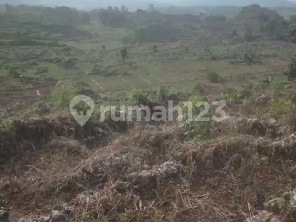 Tanah Dataran Rendah Shm Pinggir Jalan Desa Gunem Rembang Jawa Tengah
