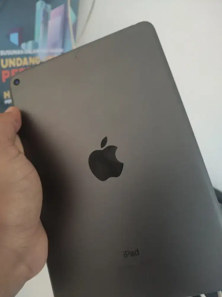 Ipad mini 5 256gb