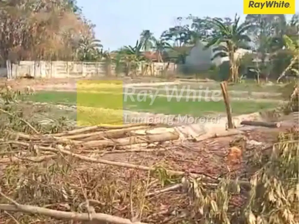 Dijual Tanah di Candimas, Natar, Lampung Selatam (Kode : ALN 3609)