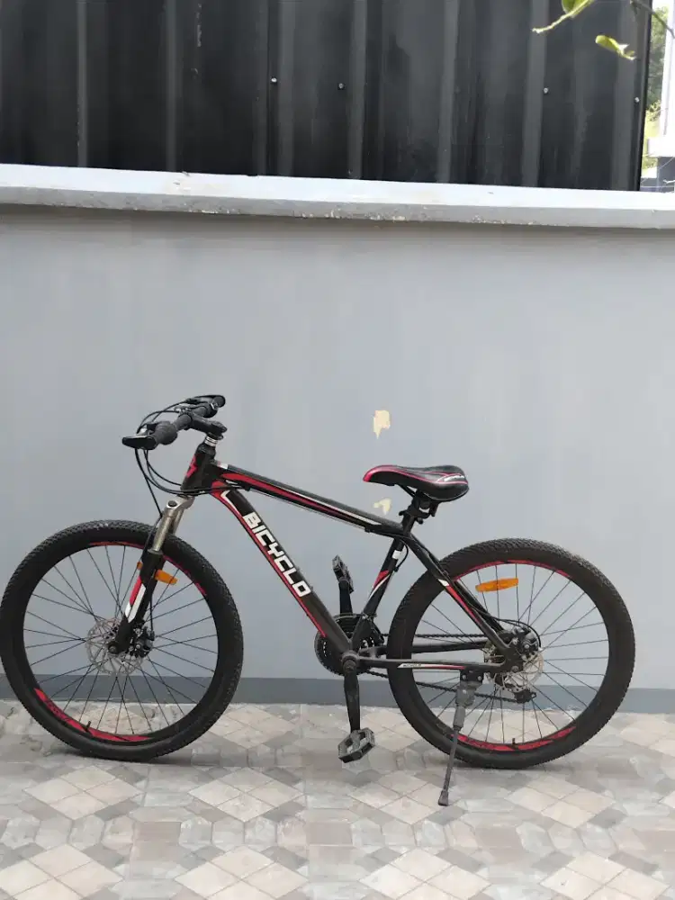 sepeda bekas pake