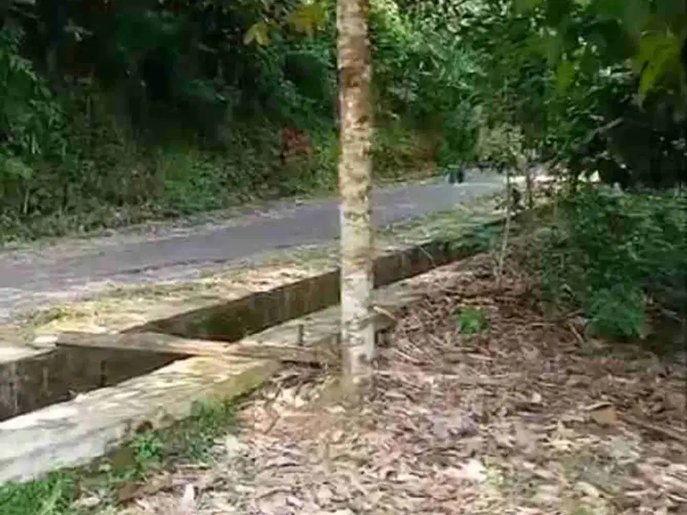 tanah darat kebun