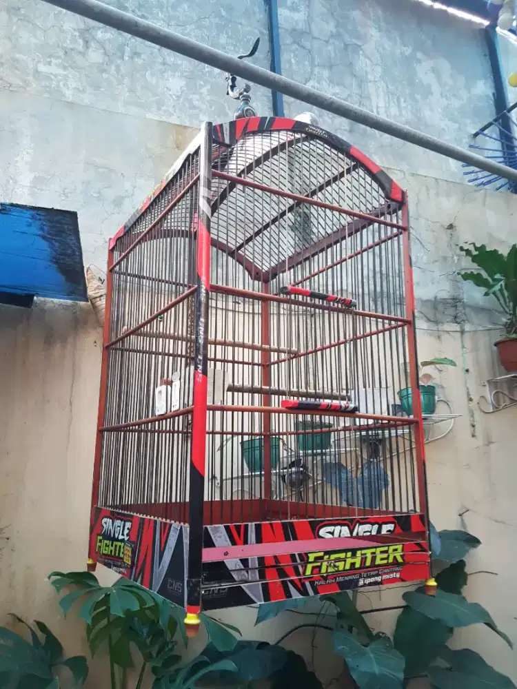 Jual sangkar burung