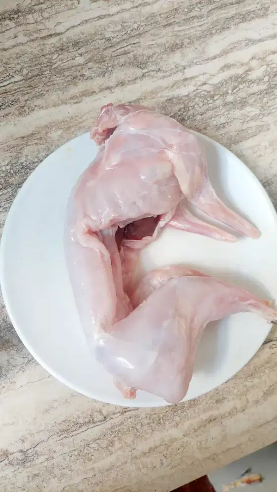 Karkas daging kelinci