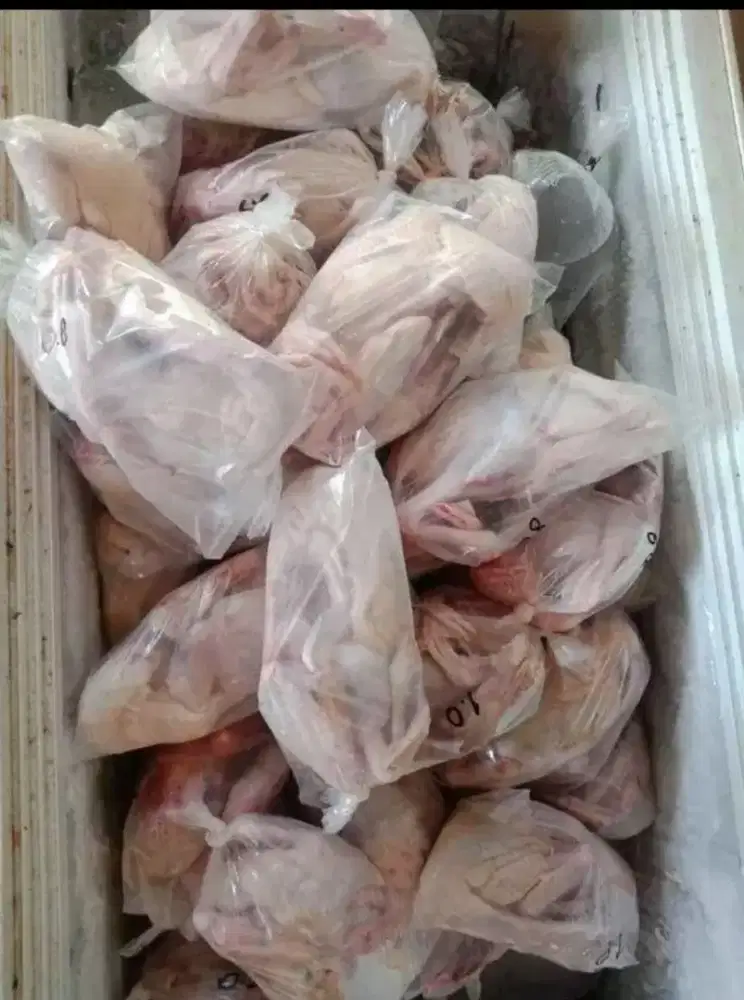 Daging Karkas  kalkun,kelinci,angsa,Mentok,burung