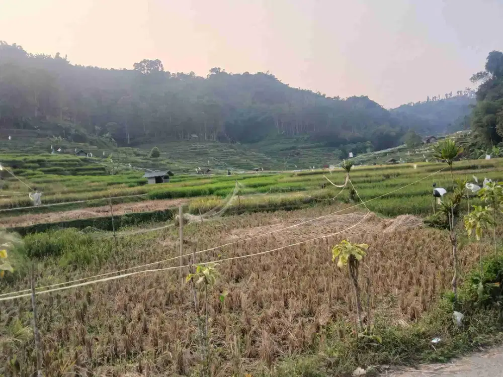 Properti