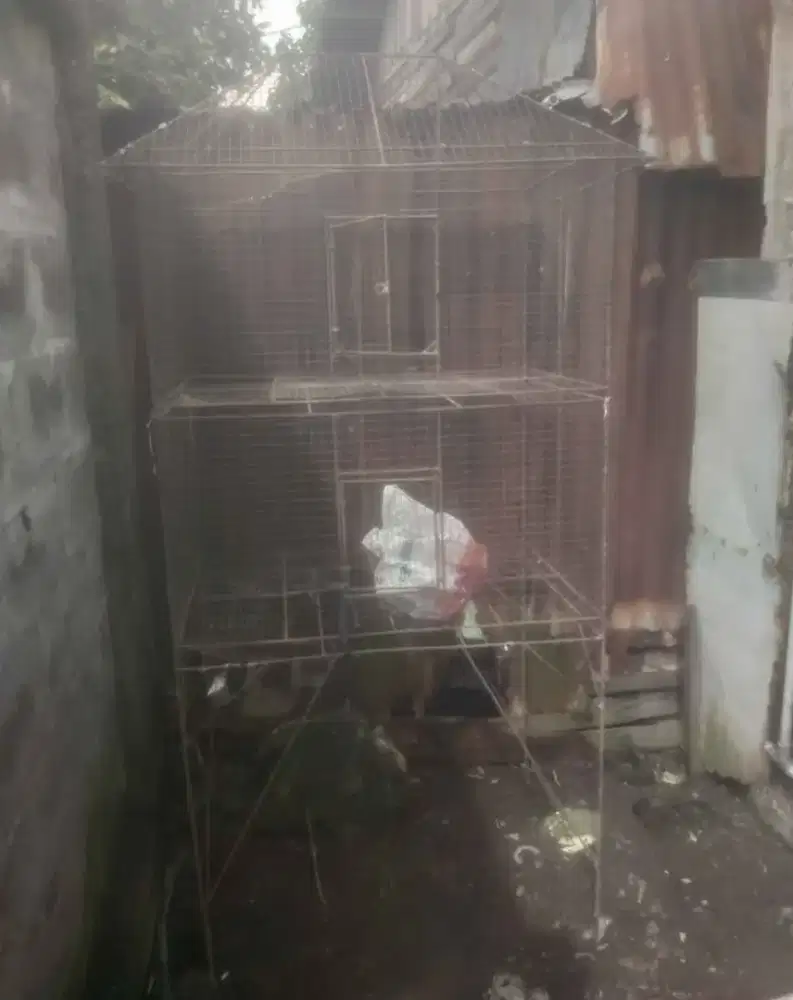 Jual kadang burung