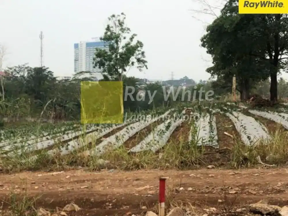 Dijual Tanah di Sumur Putri, Teluk Betung Selatan, Bandar Lampung (Kode : ALN 3613)