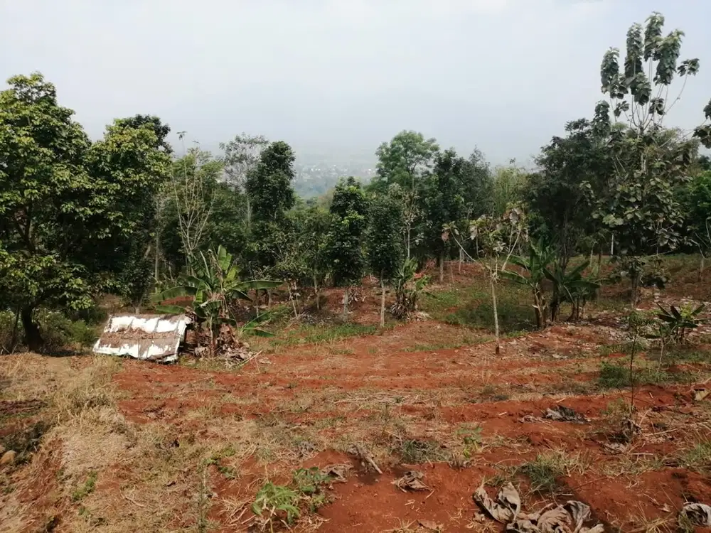 Tanah Kosong untuk pertanian, RTH, TPU, Kandang Ternak