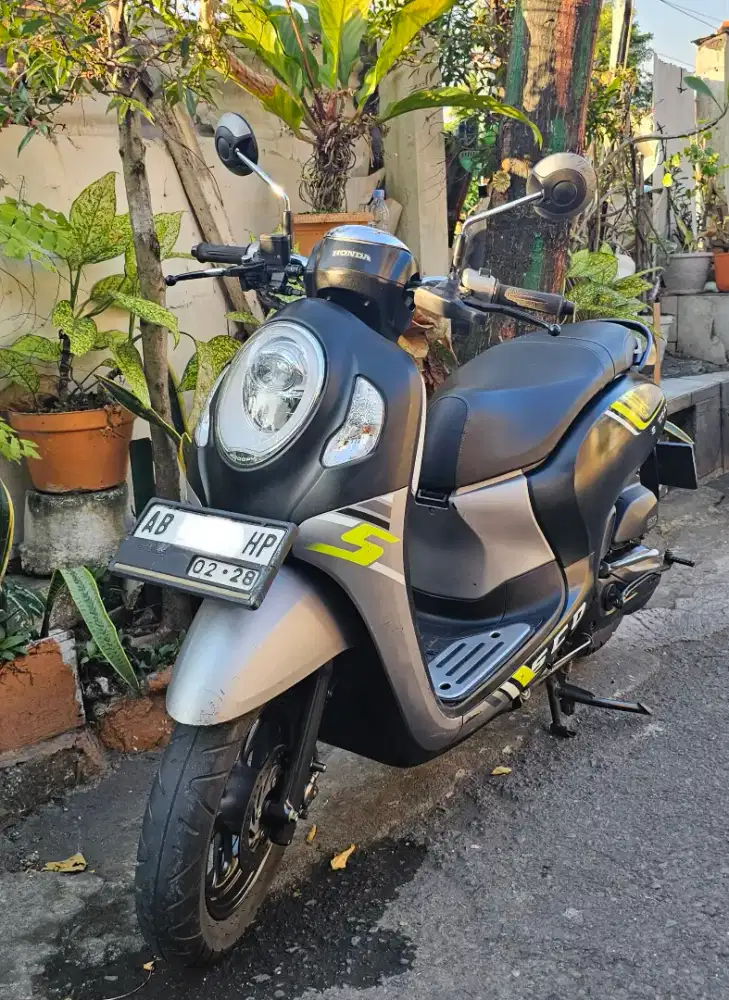 Honda Scoopy Mulus
