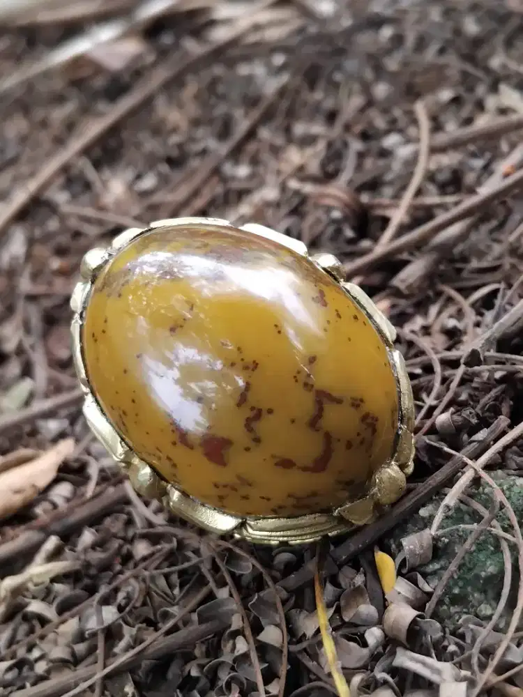 Batu cincin kembang joar