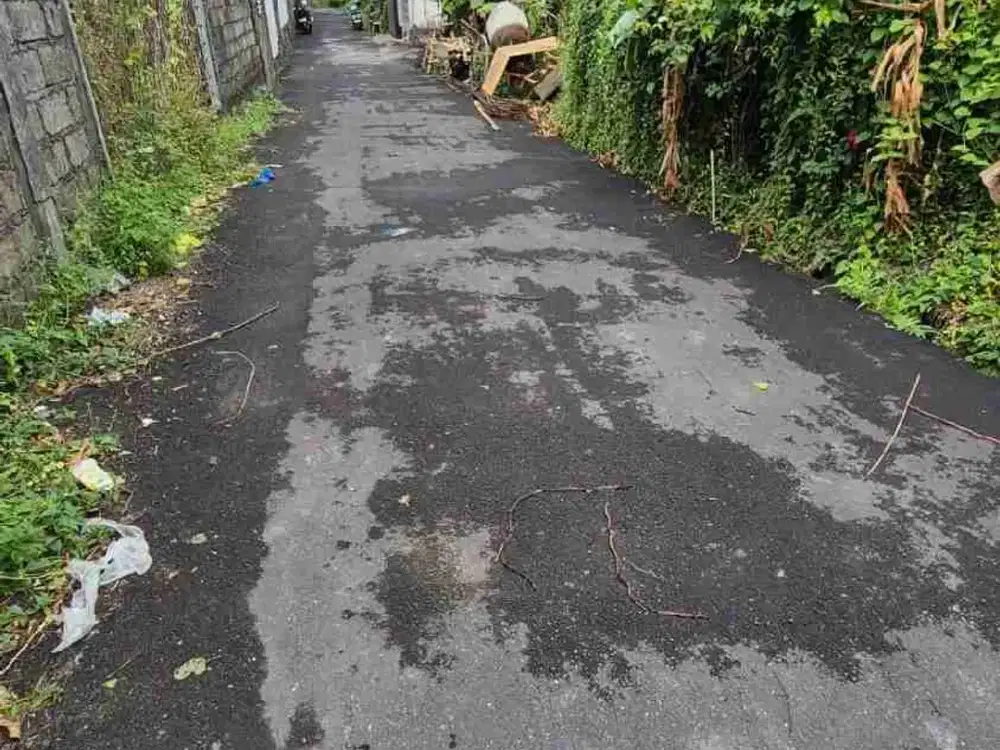 Di kontrakan tanah jalan Sedap malam , Denpasar, Bali