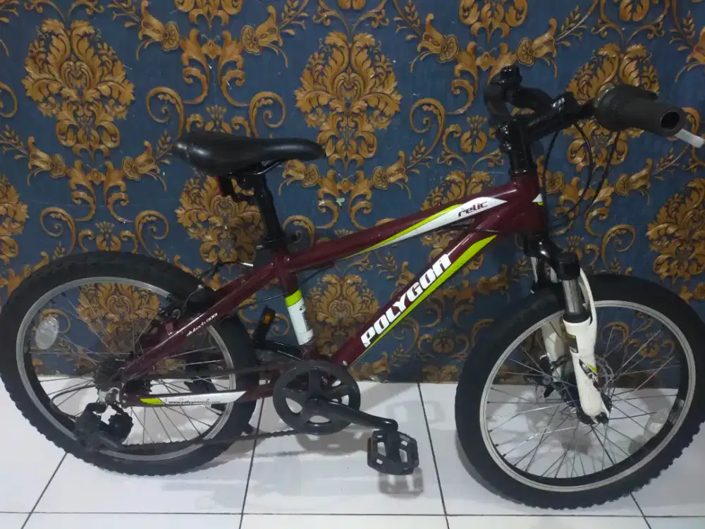 Sepeda anak Polygon