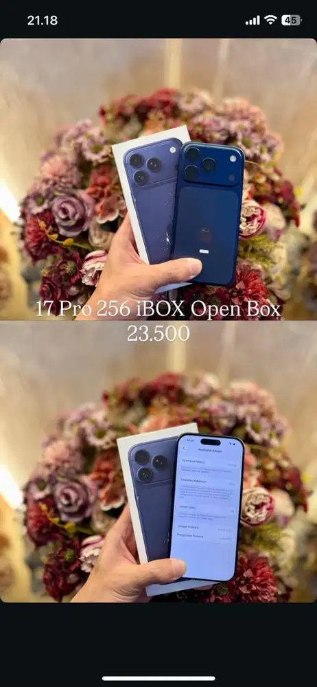 17 pro 256 ibox