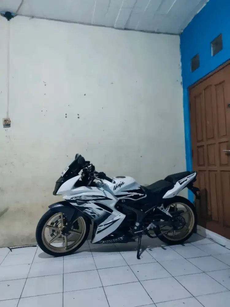 Kawasaki Ninja RR new 150 SE