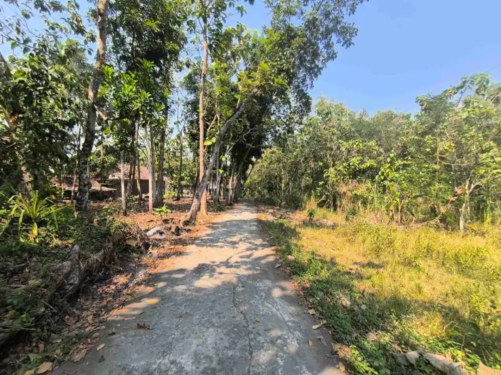 Dijual Tanah Pekarangan Murah Dekat RSA Duta Wacana Jl Wates