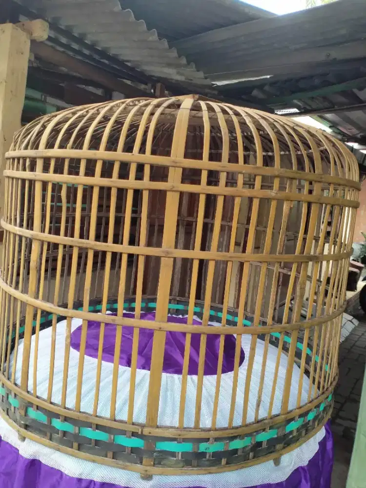 Jual sangkar ayam bekas masik bagus murah