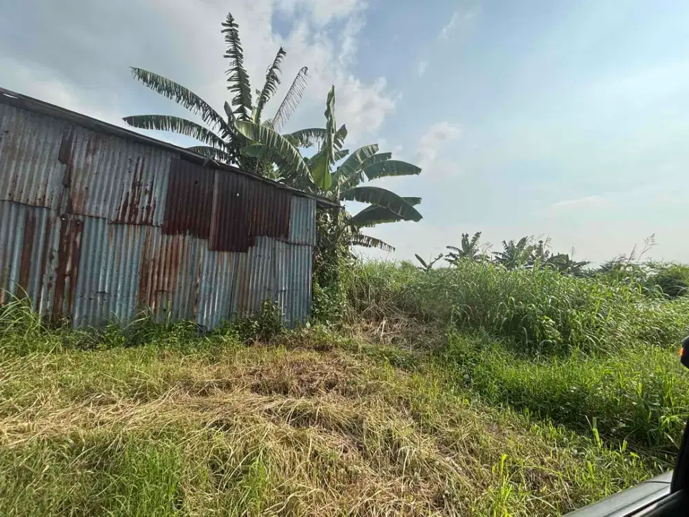 Dijual Tanah Industri Gudang Bringkang Kedamean Gresik