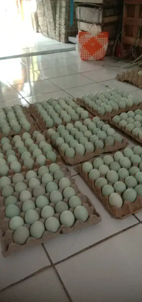 Telor asin asli blitar cuman 3000 rupiah