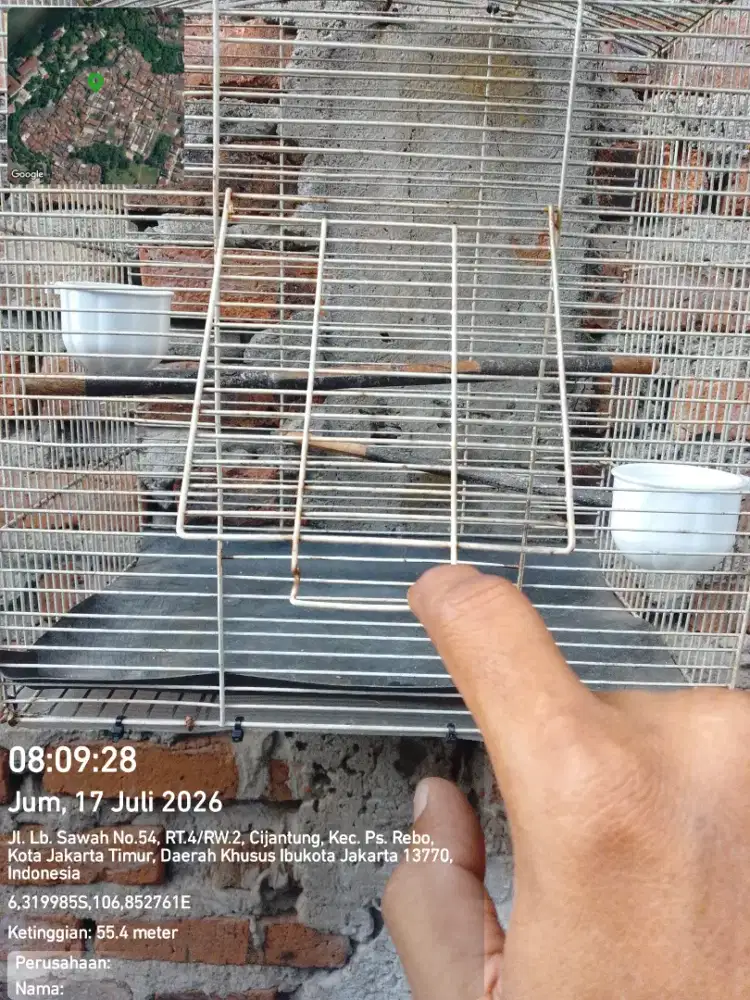 Kandang ex kenari cocok untuk burung-burung kecil
