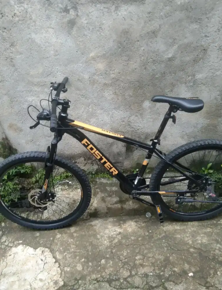MTB Foster nominus