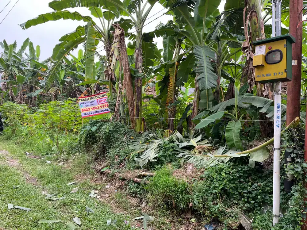 Dijual tanah di Pasir Kuda Bogor Barat