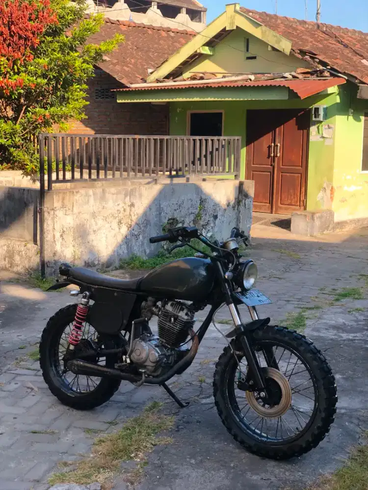 Sclamber basic tiger