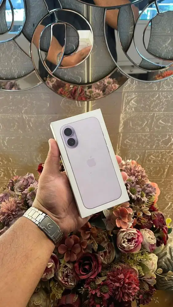 17 256  new ibox