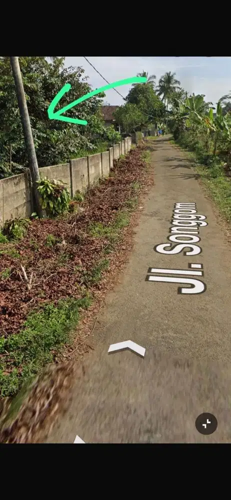 Jual lahan Kebun Anggur Brazil Siap panen