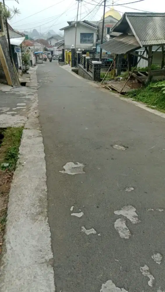 Di jual butuh luas tanah 3 ribu meter harga 500 ribu per meter nya