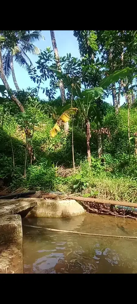 Bismillah usia saya 38 THN saya ingin berkerja apa aja