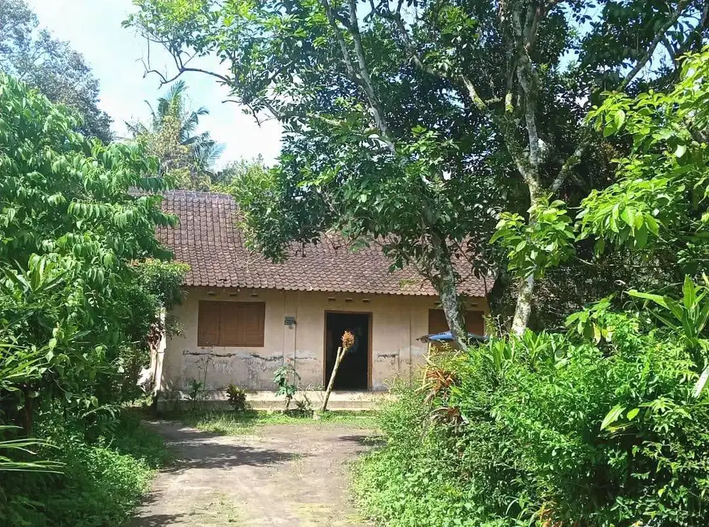 Tanah Bonus Rumah dekat Komplek Pemda Sleman