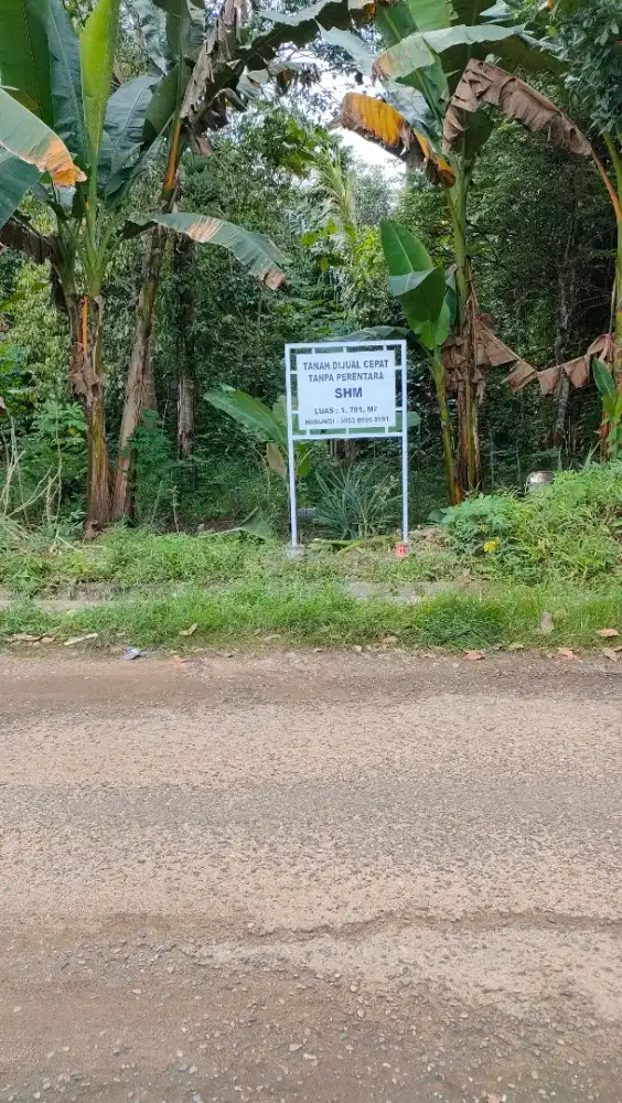 Tanah kebun SHM