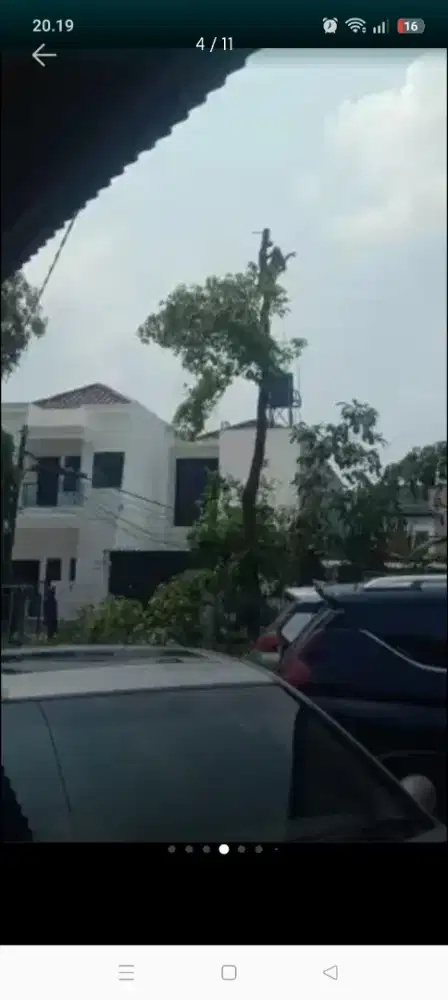 Jasa tebang pohon dan potong rumput