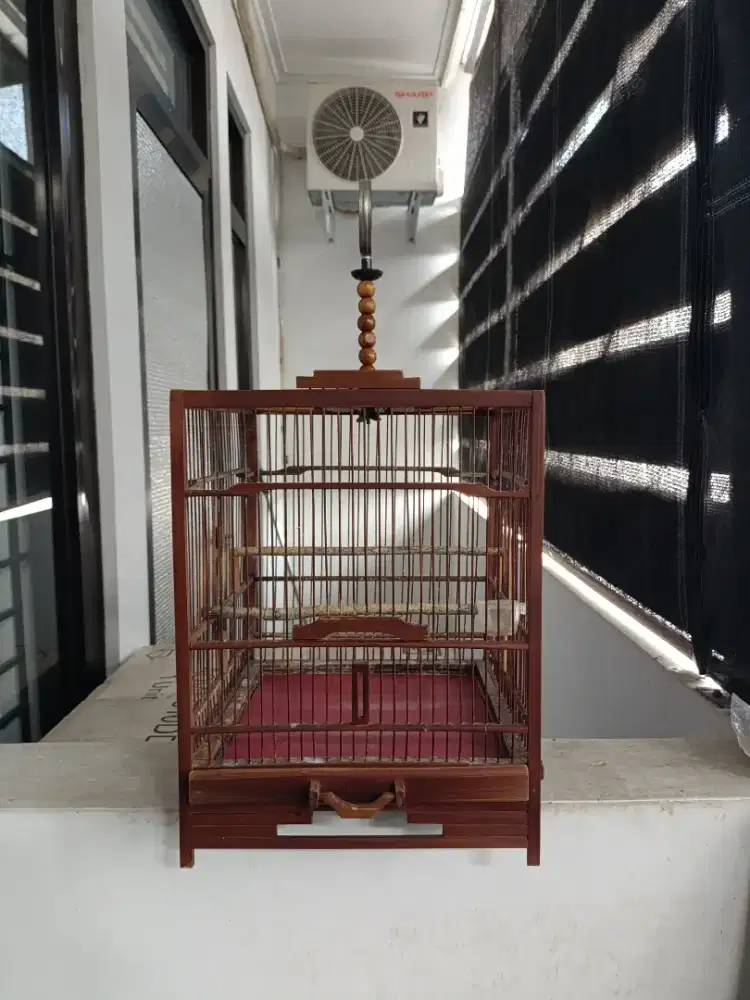 Sangkar kurung burung cungko cungkok kotak bekas wambi mini, hwamei.