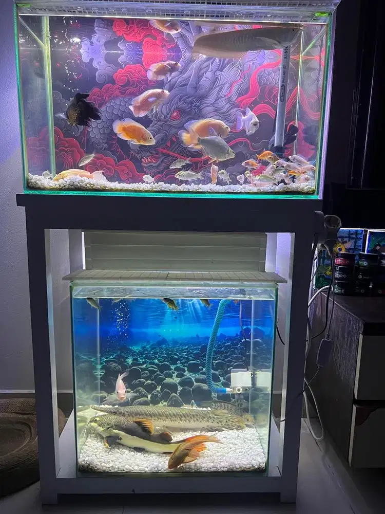 aquarium 2 layer