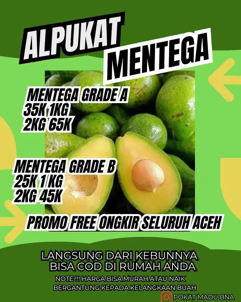 Alpukat asli takengon