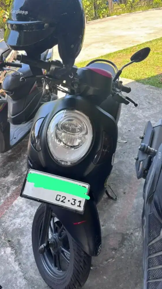 Scoopy 2021 Pajak Hidup
