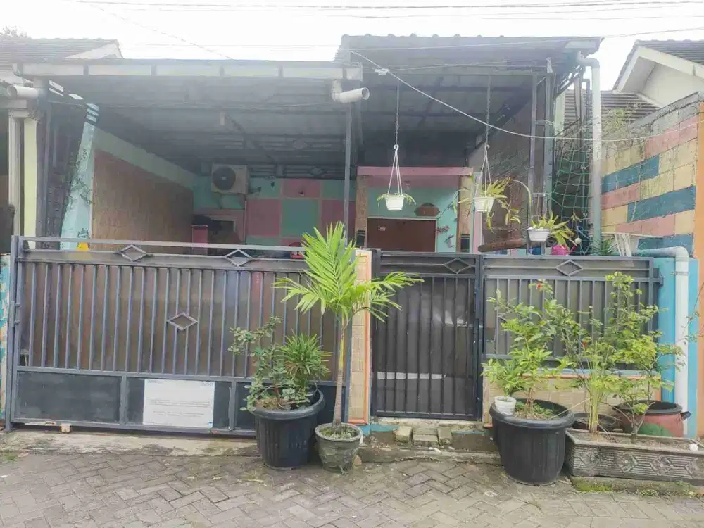 DI JUAL RUMAH

PERUM DE NAILA BLOK B6-03
KEL. : SUMPUT 
KEC. : DRIYOREJO 
KAB  : GRESIK