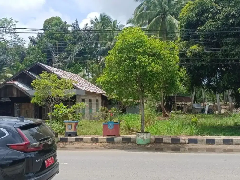 Dijual Cepat Tanah Lokasi Strategis Cocok Untuk Usaha Di Kandangan