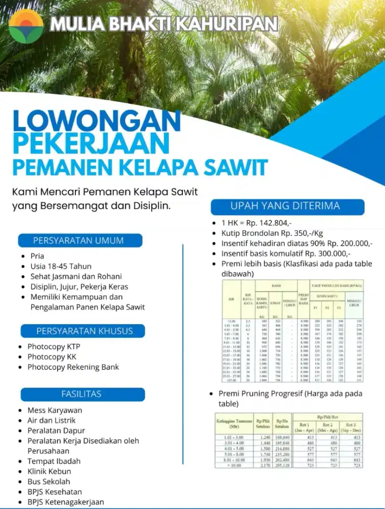Lowongan pekerjaan kelapa sawit kalimantan