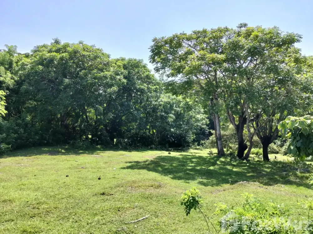 Land for sale in Pandawa, Bali