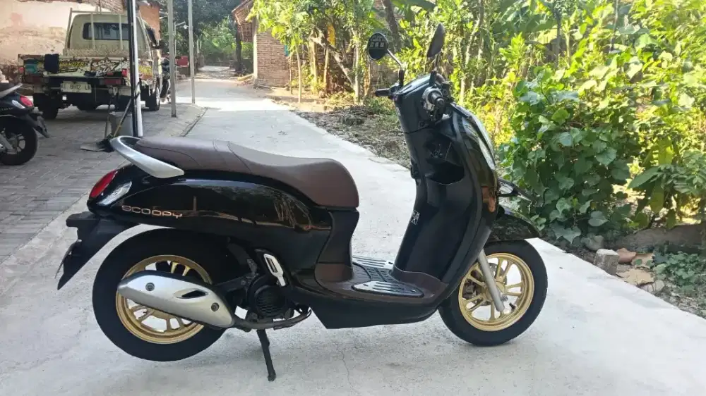 Scoopy      2021