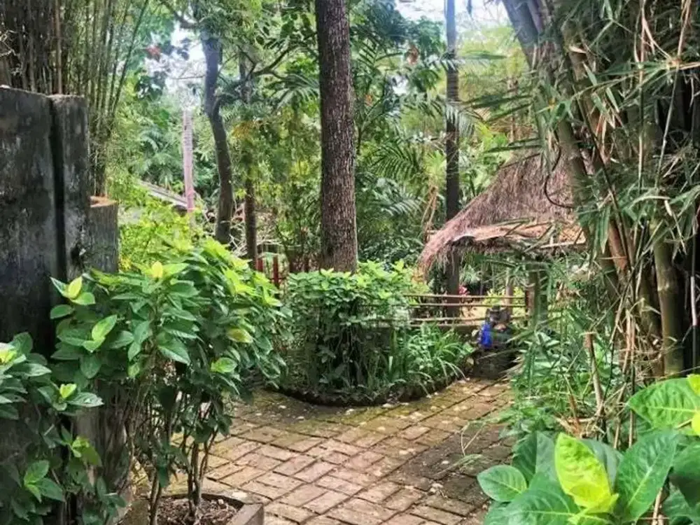 Land for sale in Pererenan, Bali