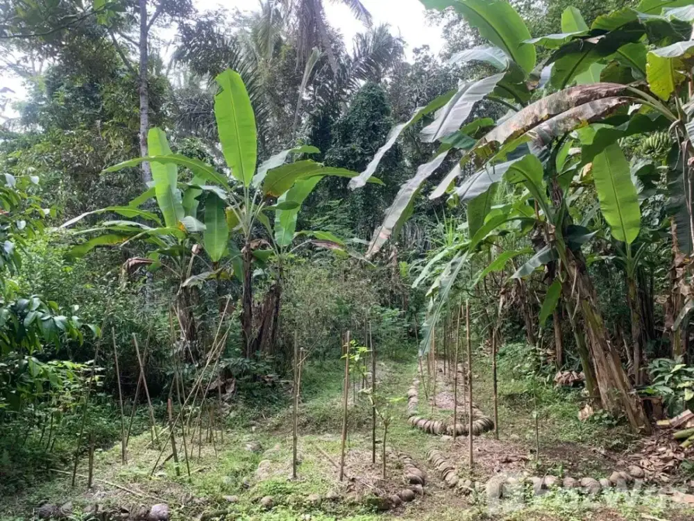 Land for sale in Ubud, Bali